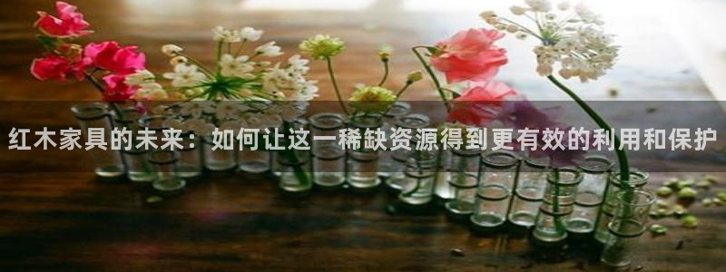 球盟会App