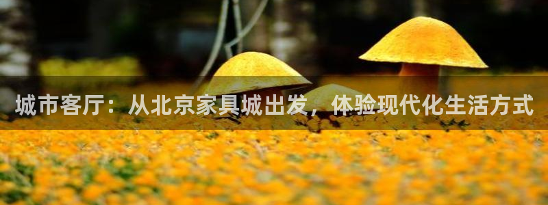 球盟会qmh网页版登录