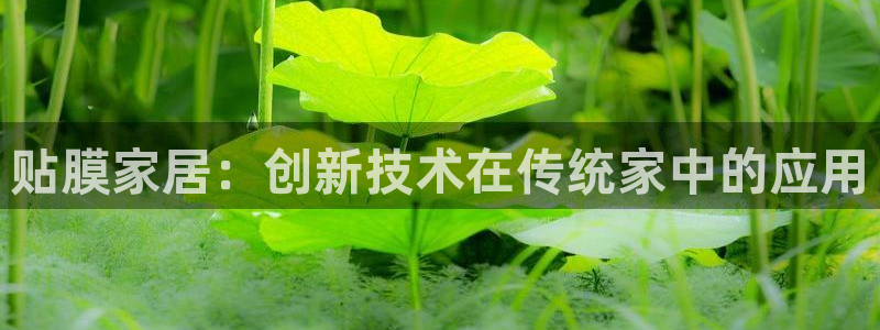 球盟会官网登录入口