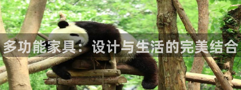 球盟会app最新地址在哪