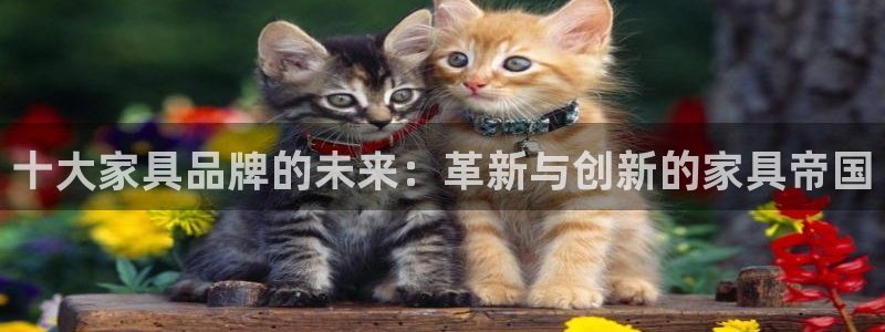 球盟会优惠领取网站