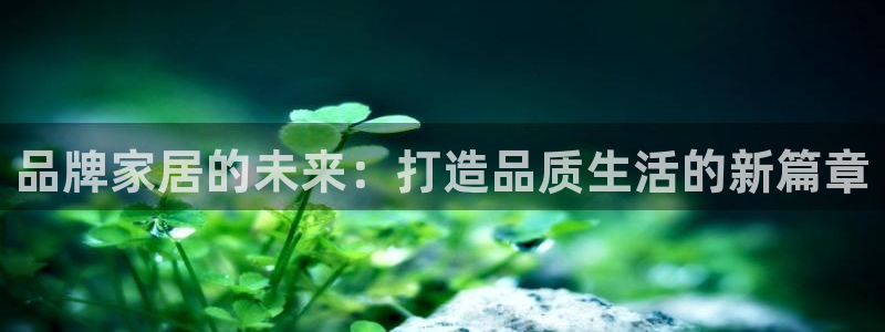 球盟会网页登录