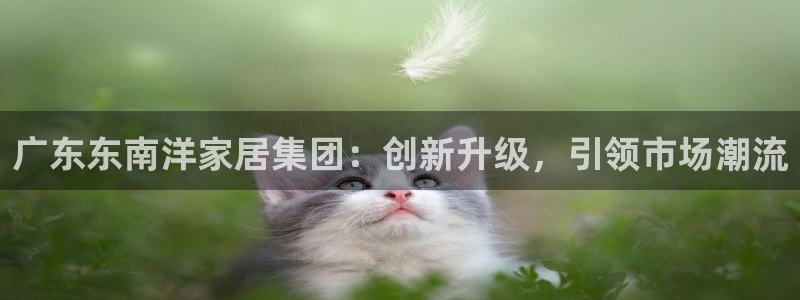 球盟会登录网址