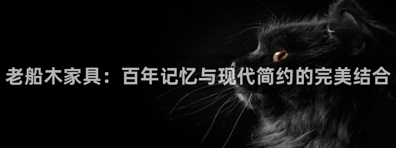 球盟会进不去球员吗