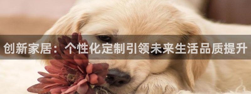 球盟会官方网站是什么