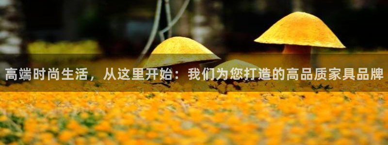 球盟会可以提现么现在