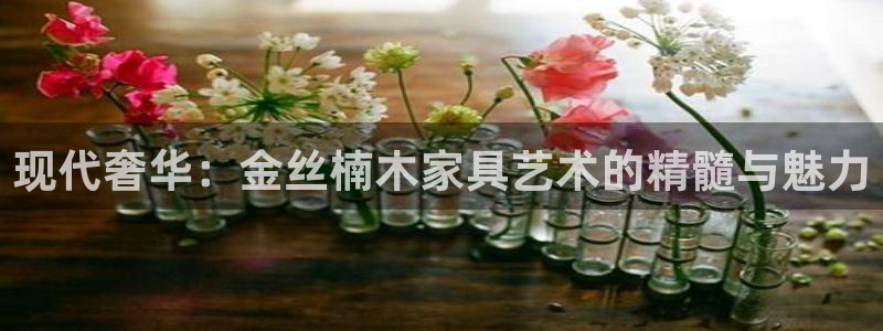 球盟会官方平台入口