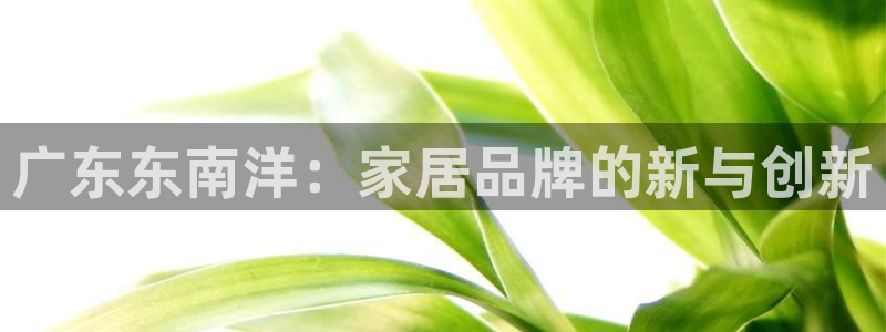 球盟会登陆中心