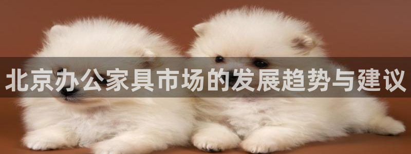 球盟会和中欧合作吗