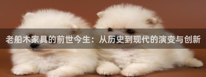 球盟会APP最新地址