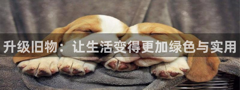 球盟会福利码2023最简单三个步骤