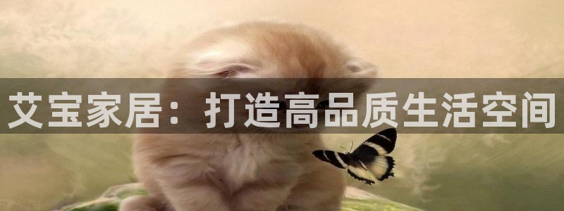 球盟会能退钱吗