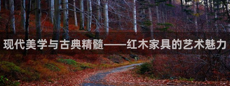 球盟会登陆入口