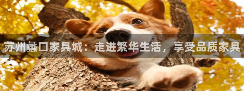 球盟会优惠领取网站是真的吗