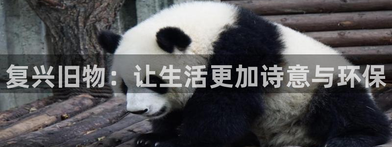 球盟会app网址多少号