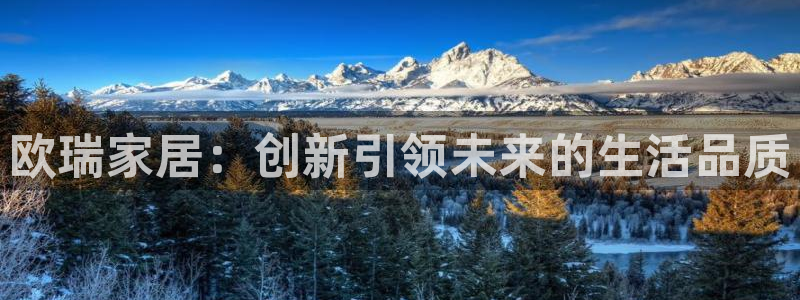 球盟会官方入口