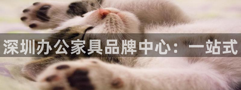 球盟会官方网站入口