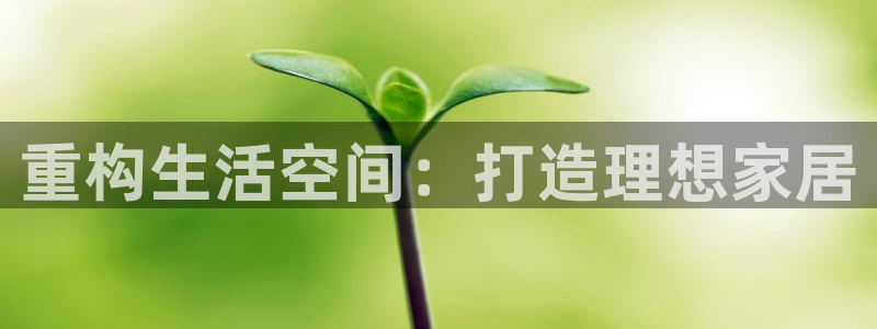 球盟会官方app首页入口