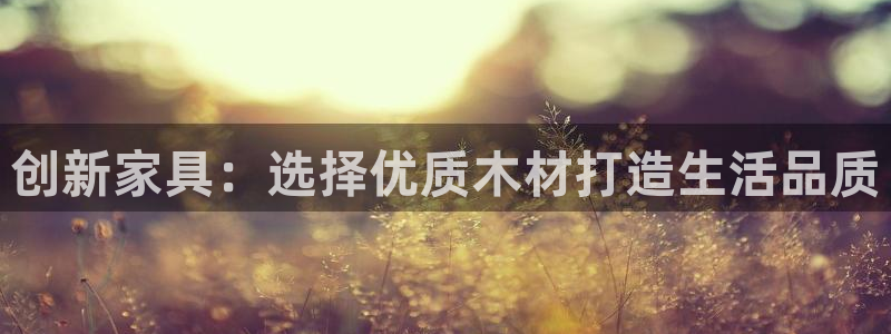 球盟会登录平台入口