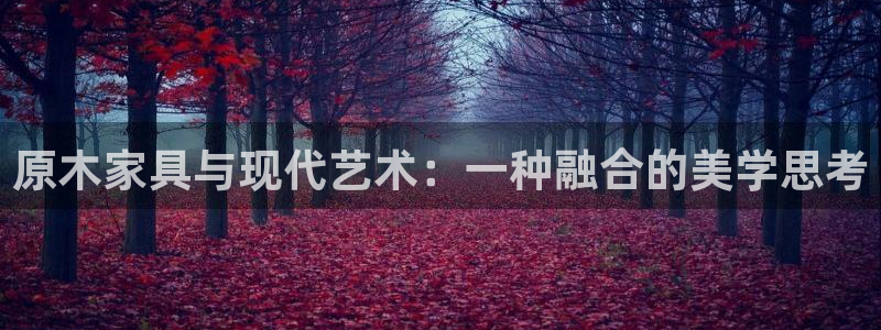 球盟会国际官网