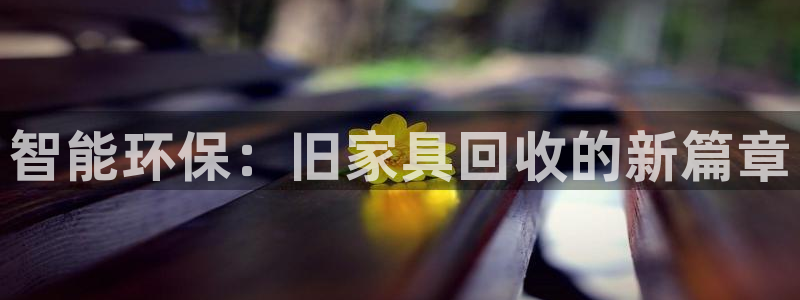 球盟会和中欧会的区别