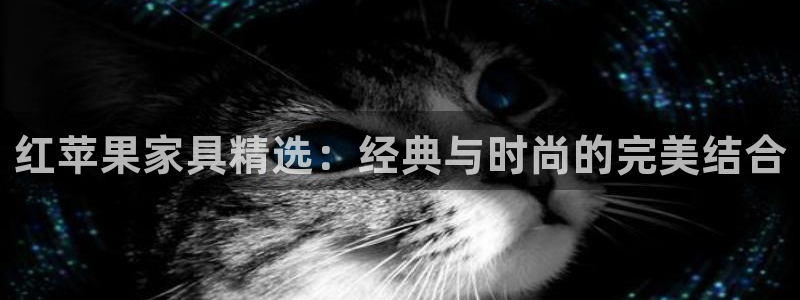 球盟会有没有黑单的活动