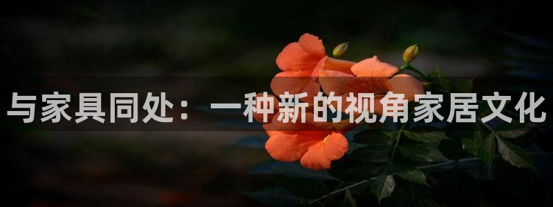 球盟会头号玩家是谁：与家具同处：一种新的视角家居文化